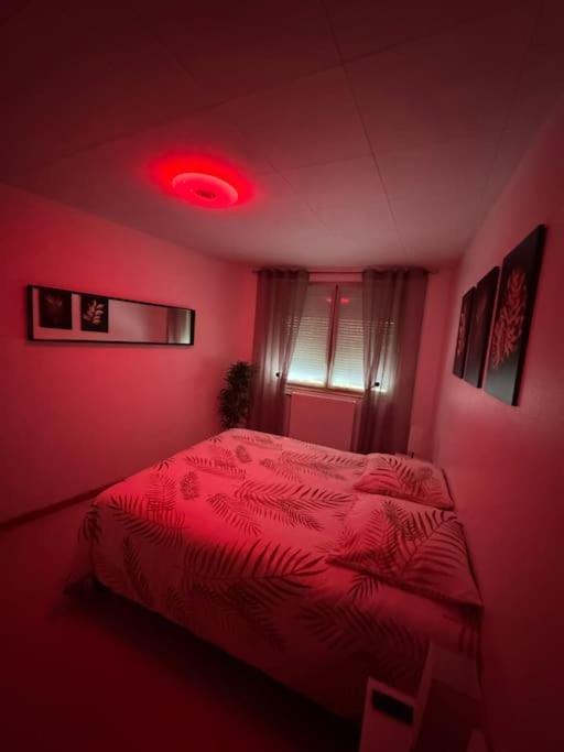 Luxury - Havre De Paix Avec Jacuzzi Prive Bar-le-Duc